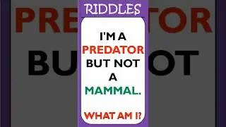 RIDDLES QUIZ FOR ALL #09 #2023 #challenge #status #funny #viral #viralshorts #shortvideo  #shorts