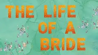 Life of a Bride Taylor Swift Inspired Bachelorette 2- Hour Background