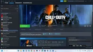 Как исправить ошибку COD Black Ops 7 Beta: она не запускается/вылетает/ошибка DirectX/0xC0000005 ...