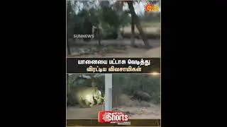 Sugarcane | Farmers | Elephant | Firecrackers | Erode | Sun News