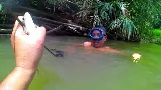Menebak Ikan Di Sarang Nya