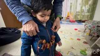 Humne banaya ghughuti ka tyohaar 😊#pahadilifestyle #kumaoni #dailyvlog #kjoevlogs