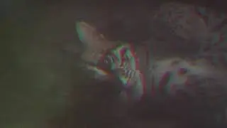 MR. BLEAT / ANIMAL