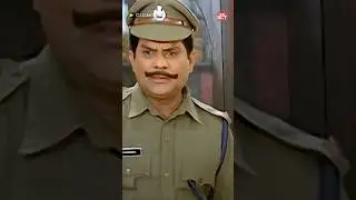 🤣 | C.I.D Moosa | Dileep | Bhavana | Cochin Haneefa | Sun NXT Malayalam