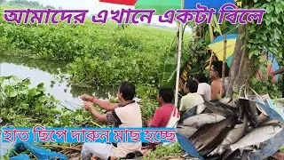      বিলে অনেক শিকারি বরশি দিয়ে মাছ ধরছে | carp fishing video | রুই মাছের টোপ