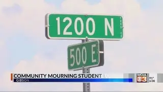 17-year-old Gibson City student dies in rural Ford Co. crash