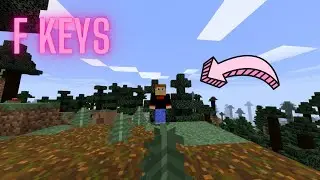 F Keys for Minecraft on mac (tutorial)