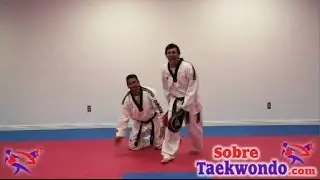 5 Ejercicios de agilidad en Taekwondo con pelotas y sorpresas.