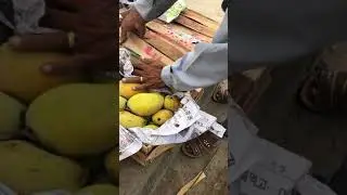 Pakistani mangos chonsa