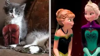 50 Shades of Grey + FROZEN + KITTENS?! | What's Trending Now!
