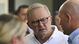 Labor MPs expecting Albanese to shift stance on Bondi Beach Royal Commission