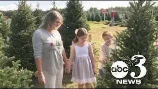 Rising costs hit Alabama's Fish River Christmas tree farm, yet holiday spirit endures