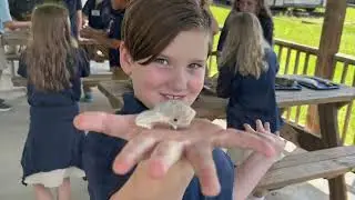 Special Visit from the Dauphin Island Sea Lab 
