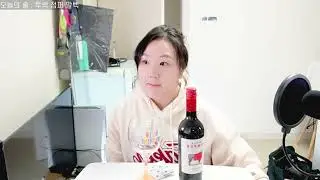 아르헨티나 레드와인~ !! 혼술 술먹방