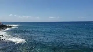 Gues where inTenerife, Canary Islands, Spain Feb  2022