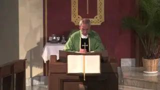 21st Sunday of Ordinary Time (Year C) - Fr. Hahn