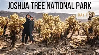 Joshua Tree Took Us By Surprise! (Day 1 Vlog)