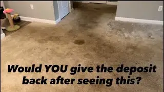 Move-Out Cleaning Before Inspection…Carpet Transformation
