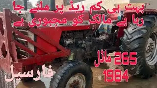 265 Massey Ferguson Special Model 1984 Tractor for Sale in pakistan
