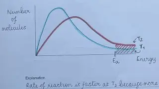 Worked exam answer - AQA AS / A level Maxwell-Boltzmann distribution question