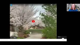 Zooming in on Haiku: A Virtual Writing Workshop