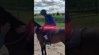 I definitely wasn&rsquo;t breaking in a mustang in two of them 🤷&zwj;♀️🤣 #equestrain #allrounder #horsegirl