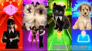 TILES HOP I Wednesday Blody Mary vs Cute Kittens Vs Cute Dog Vs Cute Puppy Lady Gaga #12