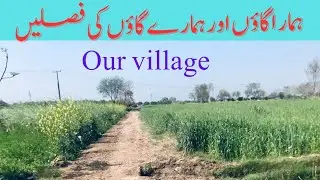 traditional village, unseen village crops, village busy routine, village Peoplelife and work routine