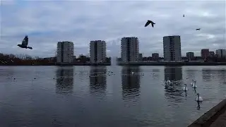 [4K] London Walk | South Mere Lake & Estate | Misfits Location