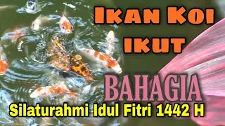 Silahturahmi ke Rumah Nenek Eva dan Atuk Oyong saat lebaran Idul Fitri