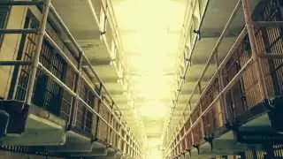 Wayn - Evade