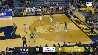 Olivia Olson STEAL & SCORE vs. Purdue | Michigan Women's Basketball