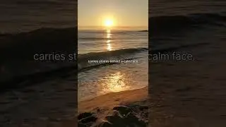 Calm outside, chaos inside❤️&zwj;🩹🍃 #explorepage #viral #song #followme #shareyourstory #travel