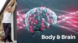30 Minute Full Body Integrated Workout For Better Health