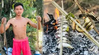 Technology Food Jungle Amazing Find Fish Eel Crab Snake For Cooking Eat So Delicious 🤤
