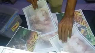 ثبات الالوان على الورق الكوشية والورق العادى