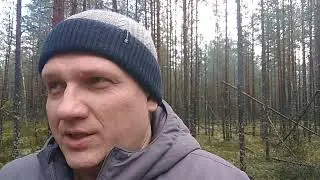 Что происходит в данный момент