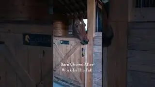 After Work Barn Chores #horse #barnlife #equestrianlife