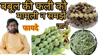 Ayurvedic Benefits Of Babool Ki Phali, ख़ज़ाने से भी कीमती है बाबुल की फली और इसके फायदे!