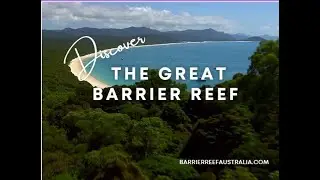 Great Barrier Reef Australia | Things to do in Great Barrier Reef -  #snorkeling  #greatbarrierreef