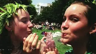 California Legalizes Marijuana