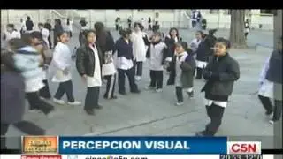 LOS ENIGMAS DEL CEREBRO: PERCEPCIÓN VISUAL [BLOQUE 2]