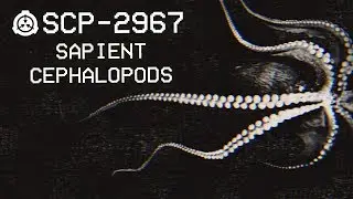 SCP-2967 &mdash; Разумные головоногие моллюски: Класс объекта &mdash; Евклид: Разумные SCP