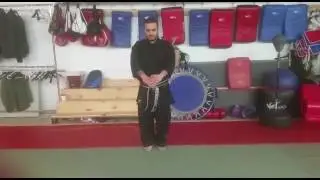 Gekisai ni