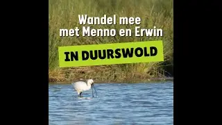 Wandel mee in Duurswold met Menno en Erwin. Natuurgebieden in Groningen zoals Roegwold Danneweer