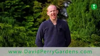 David Perry Gardens Launch Video