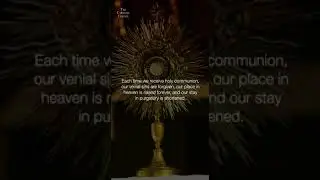 A few facts about Holy Mass | #catholicmass #catholicchurch #mass #Catholicism #catholichistory