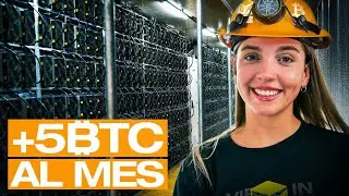 Coinbox por dentro: as&iacute; funciona el housing de miner&iacute;a