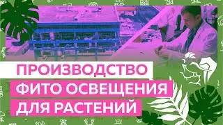 Производство фито освещения для растений Российского бренда Big cock design
