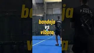 bandeja VS v&iacute;bora 🐍